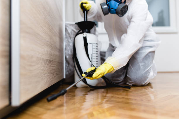 Best Bed Bug Extermination  in Heritage Lake, IN