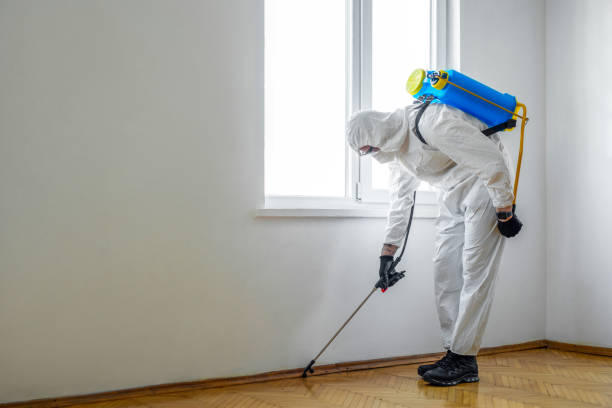 Best Affordable Pest Control Services  in Heritage Lake, IN