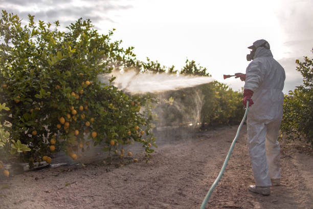 Best Wasp Removal Services  in Heritage Lake, IN