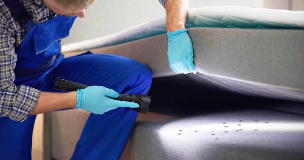 Best Pest Removal Services  in Heritage Lake, IN