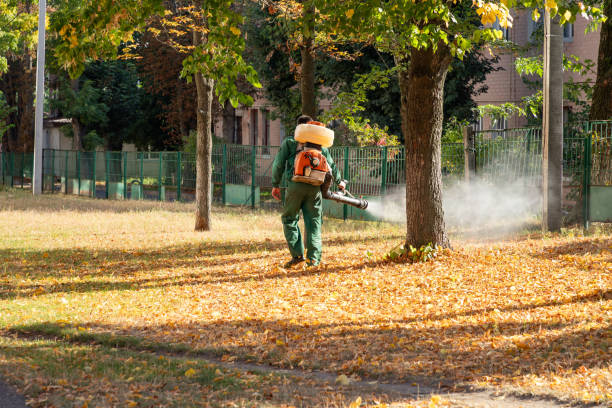 Best Pest Inspection Near Me  in Heritage Lake, IN
